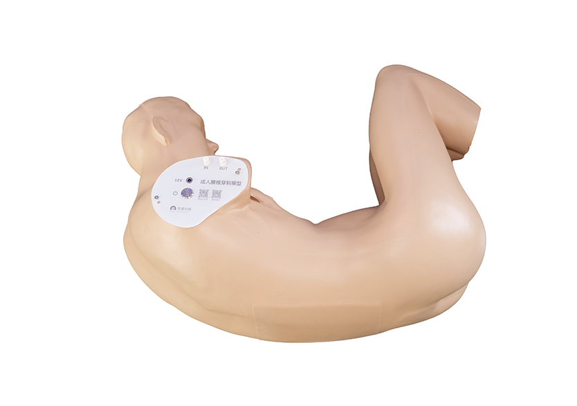 成人腰椎穿刺平臺2.0